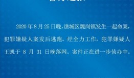 大学最新爆料案件大全视频,视频曝光校园风云录