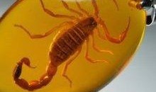 琥珀在线观看,穿越时空的视觉盛宴