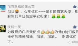 魏县最新爆料,揭秘背后惊人真相